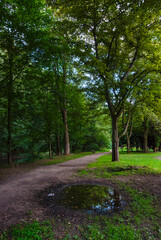 alley in the park