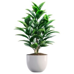 Indoor plant leaf vase white background