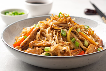 Stir fried udon noodles with chicken and vegetables in plate on concrete background