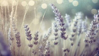 Provence-style, vintage, retro, rural, background with lavender in dim violet colors. Macro