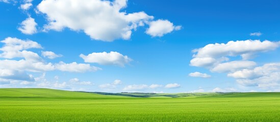 Fototapeta na wymiar A serene landscape with vibrant greenery under a clear blue sky