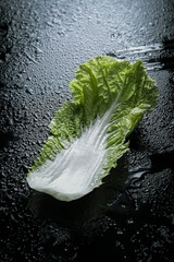Young lettuce leaf, abstract background.