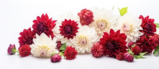 Various colored blooms on a white surface