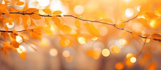 Branch with sunlit yellow leaves - Powered by Adobe