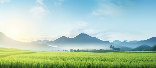 Green field with distant mountains - obrazy, fototapety, plakaty