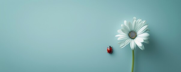 Minimalist daisy and ladybug on pastel background
