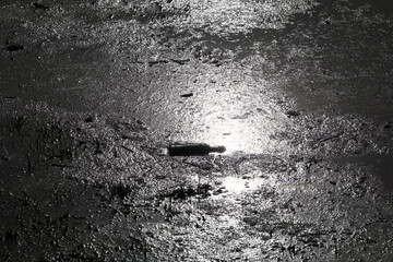 Butelka. Śmieci wrzucone do rzeki - zanieczyszczenie środowiska.  © FotoDax