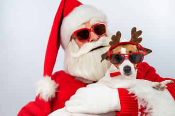 Portrait of santa claus in sunglasses and dog jack russell terrier in rudolf reindeer ears on a...