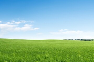 Naklejka premium Field backgrounds landscape outdoors.