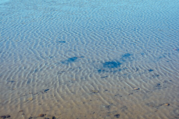 Ripples on the surface of the water. Background of ripples in a pond with clear water and a sandy bottom.