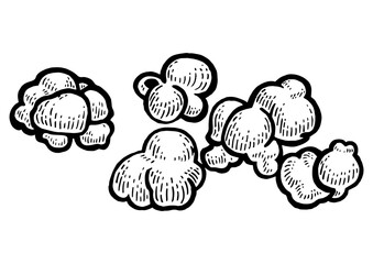 Popcorn food sketch engraving PNG illustration. Scratch board style imitation. Black and white hand drawn image.