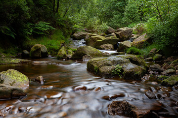 Water streaming over rocky cascades, Deep forest waterfall small waterfall with blurred water on...