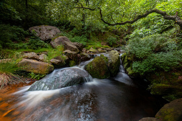 Obraz premium Water streaming over rocky cascades, Deep forest waterfall small waterfall with blurred water on the rocks in the peak district uk