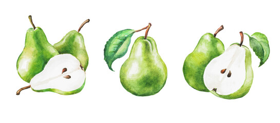 Pear, green pears, fruit, hand painted watercolor illustration , transparent background, dessert, sweet food, fresh	