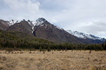 Alaska Field and Mountains 3