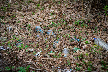 Obraz premium garbage in the forest