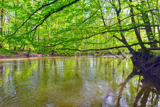 Die Kinzig in der Bulau - Hanau/Hessen