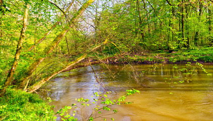 Die Kinzig in der Bulau - Hanau/Hessen