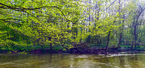 Die Kinzig in der Bulau - Hanau/Hessen