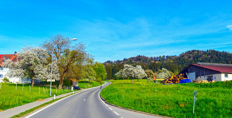 Die Allgäustraße bei Hohenweiler im Bezirk Bregenz (Vorarlberg, Österreich)