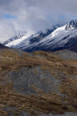 Fototapeta na wymiar Alaska Field and Mountains 2