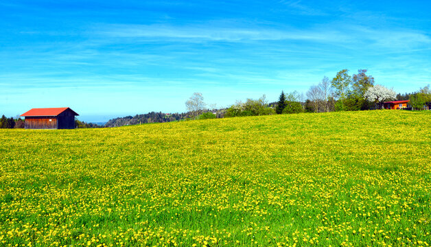 Fr&uuml;hling in Scheidegg im Westallg&auml;u (Bayern)