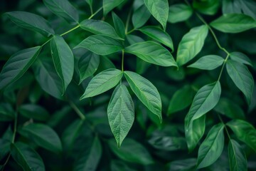 High-End Dark Green Leaves Seamless Texture. Beautiful simple AI generated image in 4K, unique.