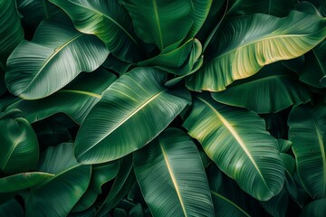 Obraz premium tropical leaves on a dark background - Generative AI. Beautiful simple AI generated image in 4K, unique.
