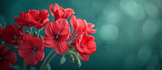 Vibrant Red Flowers Against Greenery