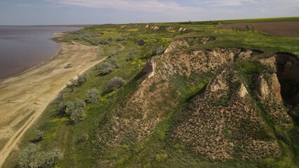 Wild spring steppe on the shore of the estuary in the South of Ukraine.