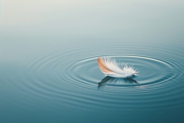Serene feather floating on calm water