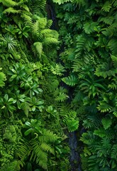 Lush Green Tropical Ferns and Foliage