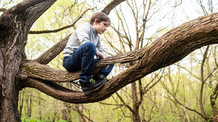 11 year old boy sitting on a tree branch in the park in spring