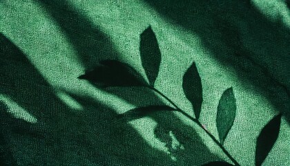 abstract botanical pattern sunlight shadow silhouette of leaves on linen sage green fabric aesthetic background for sustainable eco business brand - Powered by Adobe