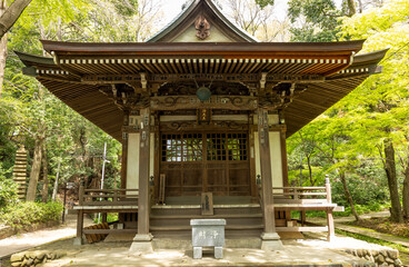 Fototapeta premium 深沙堂（東京都調布市・深大寺）