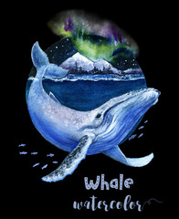 a watercolor painting of a humpback whale in the ocean on black background
