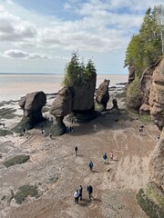 Hopewell Rocks: Coastal Marvels of New Brunswick