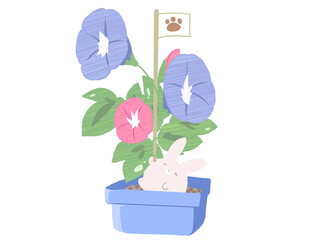 朝顔うさぎ