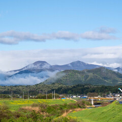 Naklejka premium 4月の雨あがり