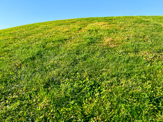 Idyllic Grassy Green Hill Against a Clear Blue Sky. Minimalist nature background scene. Park scene...