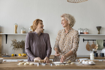 Attractive middle-aged mother and her grown up daughter talking laughing, cooking in the kitchen, spend carefree time, make homemade sweet pastries dessert on weekend at home. Family ties, culinary
