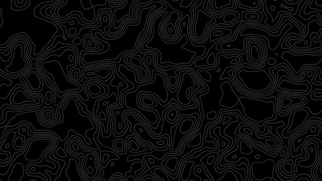 Gray outline topographic contour map abstract tech motion graphic design. Geometric background. Video animation Ultra HD 4K 3840x2160.Abstract animated outline topographic contour map. TECHNOLOGY