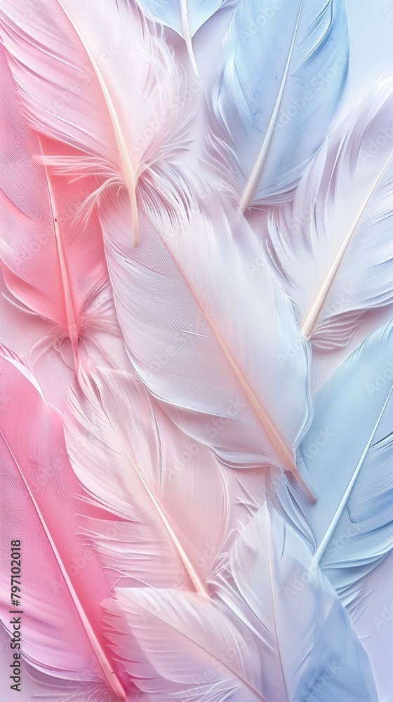 Poster soft pastel-colored feathers arranged in a seamless pattern, creating a gentle texture