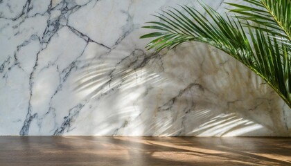 marble wall with shadow from palm tree