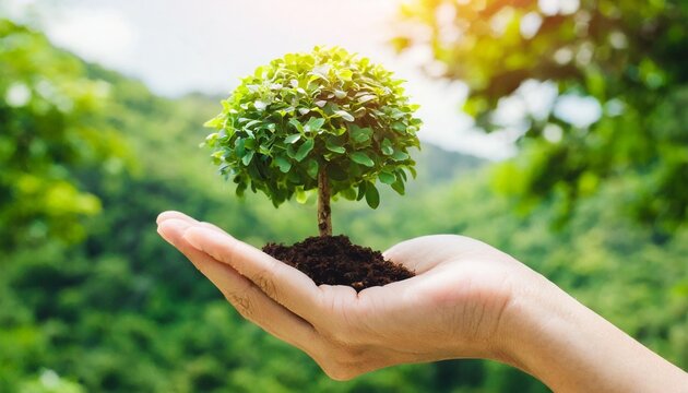 hand holdig tree growing on green background eco earth day concept