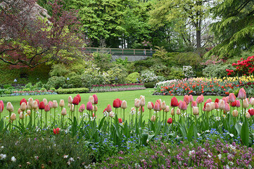 Spring flowers in full bloom at Butchart's Gardens, Victoria BC. Mass plantings in gorgeous floral...