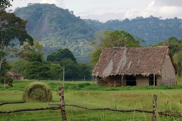 Fototapeta na wymiar Rural house surrounded by grass field, trees, and mountains under a cloudy sky