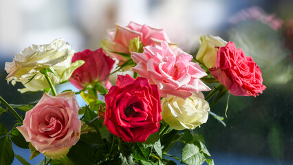 Bouquet of beautiful roses on the windowsill