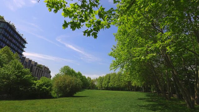 NEW YORK, NEW YORK - USA MAY 12: Row of growing fresh green trees surround the lawn during springtime at Brooklyn Bridge Park in New York City on May 12, 2023.