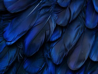 Obraz premium Close-up of Vibrant Blue Feathers